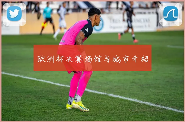 欧洲杯决赛场馆与城市介绍