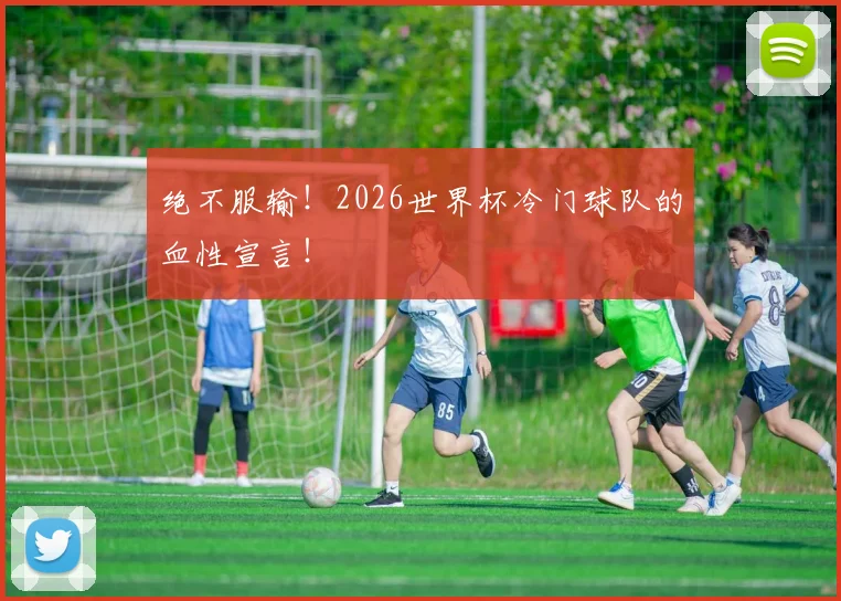 绝不服输!2026世界杯冷门球队的血性宣言!